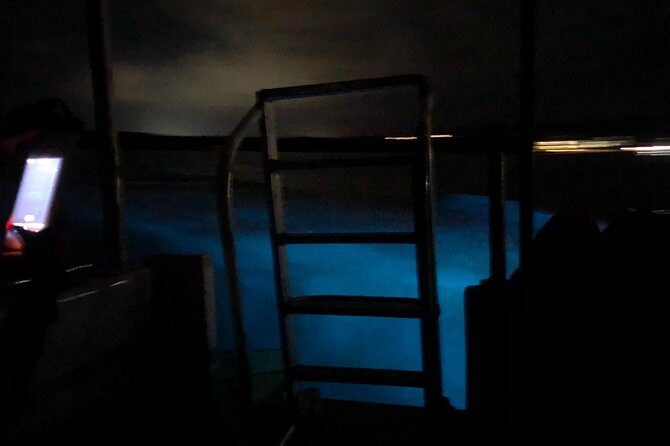 Luminous Lagoon Private Tour - Final Thoughts