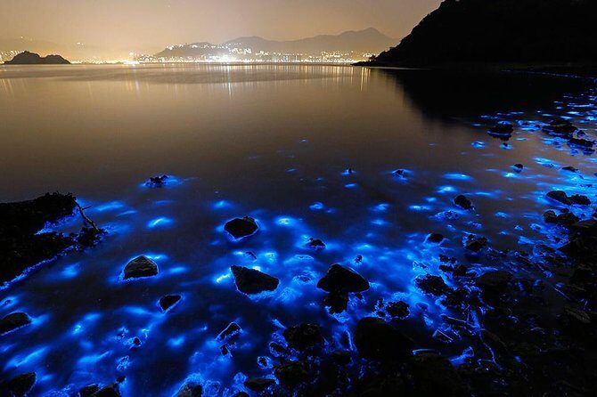 Luminous Lagoon Small Group Tour from Ocho Rios - Key Points