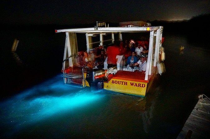 Luminous Lagoon Small Group Tour from Ocho Rios - Frequently Asked Questions