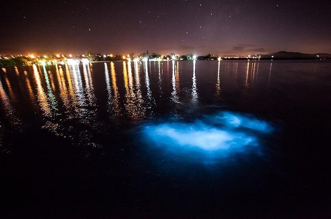 Luminous Lagoon Tour from Montego Bay - What to Expect on the Tour