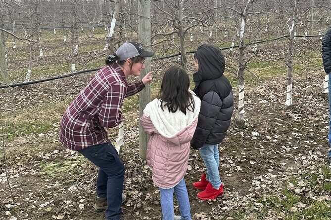 Lunch and Tour of an Apple Orchard with a Farmer in Elyria - A Deep Dive into the Orchard Tour Experience