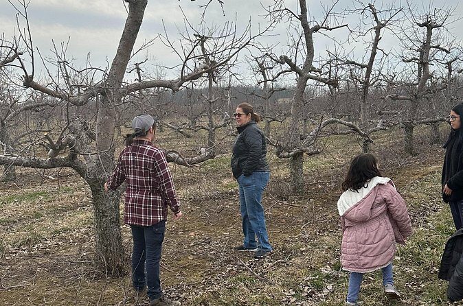 Lunch and Tour of an Apple Orchard with a Farmer in Elyria - Frequently Asked Questions