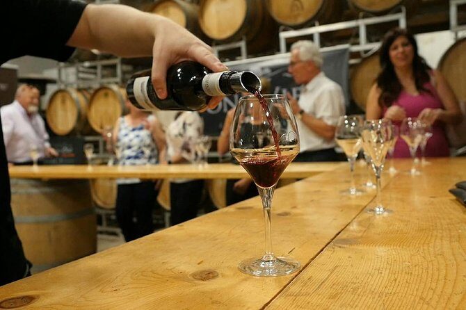Lunch in the Vineyard: A Scenic Niagara Wine Tour Experience - The Experience: What You Can Expect