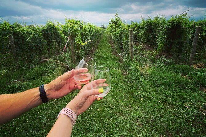 Lunch in the Vineyard: A Scenic Niagara Wine Tour Experience - FAQ
