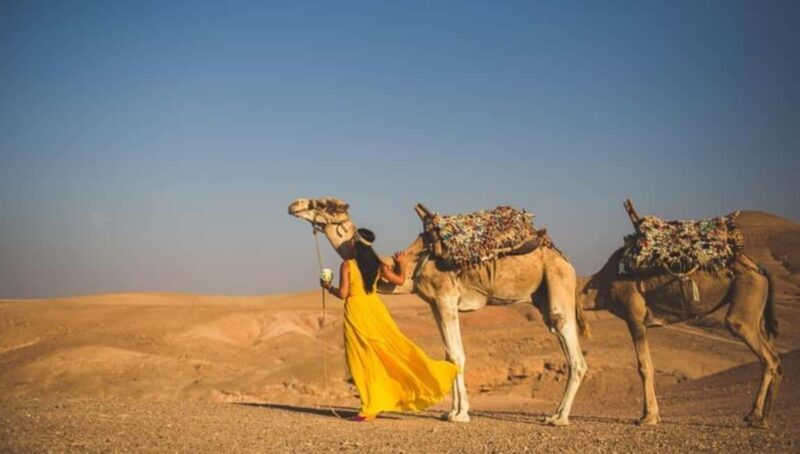 Lunch & Swimming Camel Ride and Quad Biking in Agayaf - Key Points