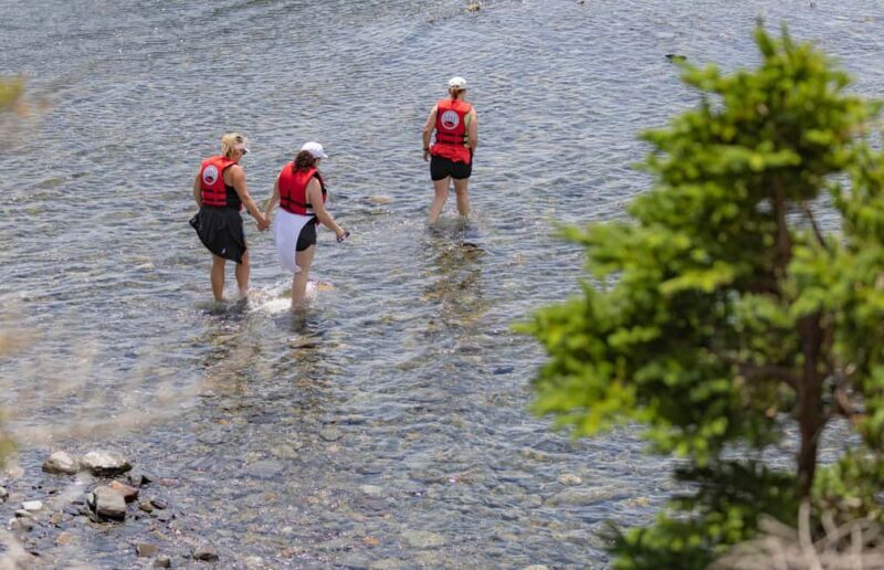 Lunenburg: Zodiac Wildlife Tour with Naturalist Guide - Authentic Reviews: What Travelers Say