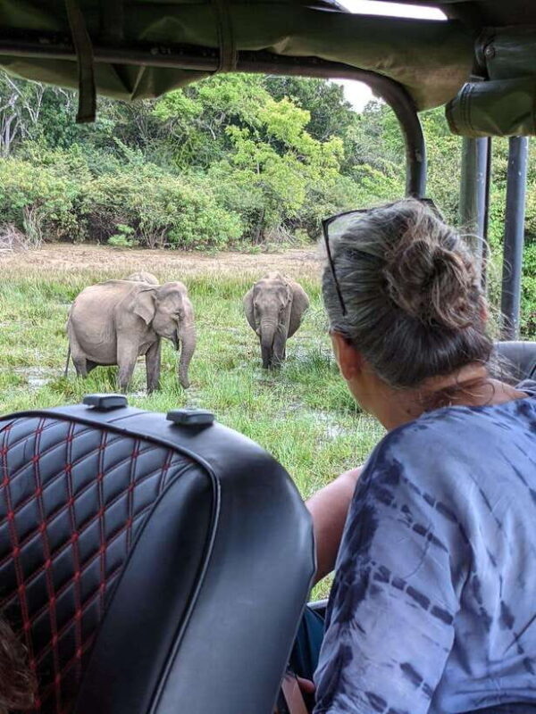 Lunugamvehera National Park ( Yala Block 5 / 6 ) Wild Safari - The Sum Up