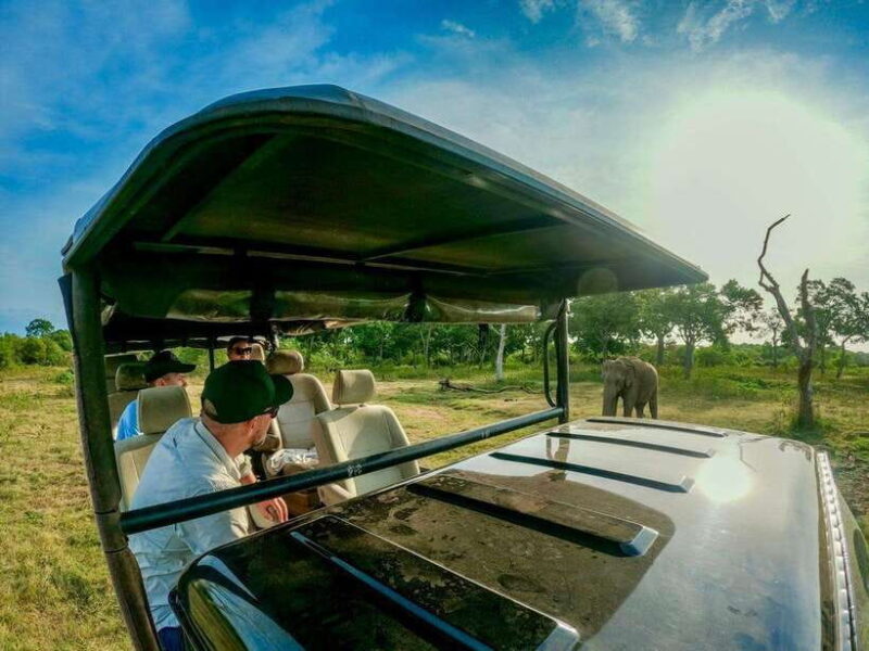 Lunugamwehera NP (Block VI) Morning Safari Game Drive - The Sum Up