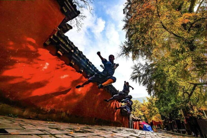 Luoyang Grotto&ShaolinTemple private Self-guided Tour by Car - Who Will Love This Tour?