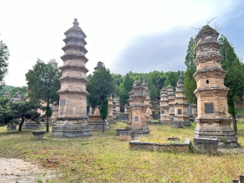 Luoyang Private Day Tour to Shaolin Temple&Longmen Grottoes - Practical Details and Value Analysis