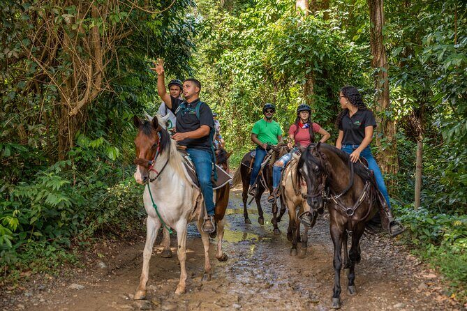 Luquillo Beach Horse Ride from Carabalí Rainforest Adventure Park - An In-Depth Look at the Tour