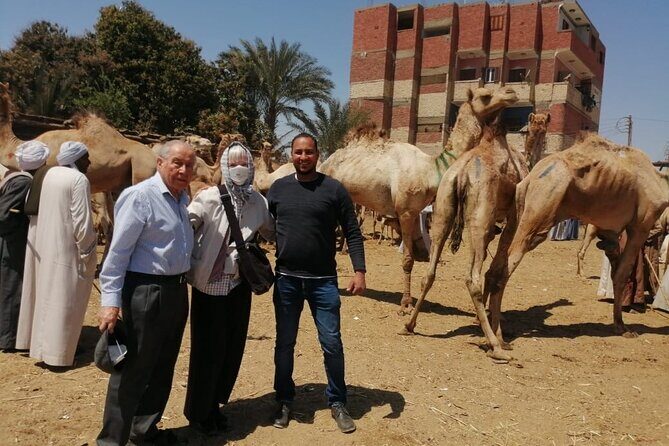 Luxor Airport Private transfer to your hotel or vice versa - Why This Transfer Is a Smart Choice