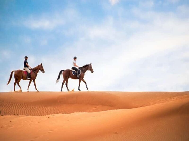 Luxor: Balloon, Quad Bike, Horse Ride, felucca with meals - Who Would Enjoy This Tour?