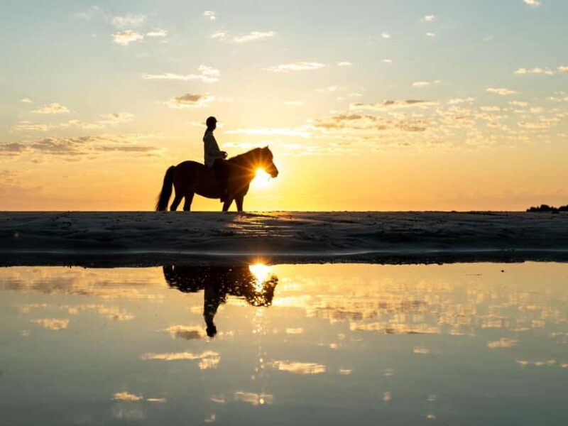 Luxor: Balloon, Quad Bike, Horse Ride, felucca with meals - Final Thoughts