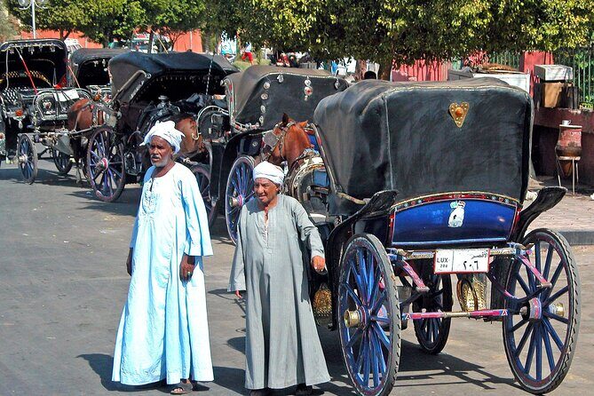 Luxor City Tour By Horse Carriage - Authentic Experiences and Real Feedback from Travelers