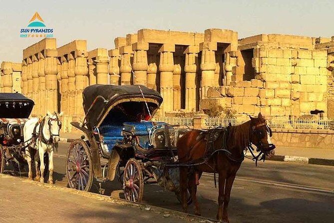 Luxor City Tour By Horse Carriage in Egypt - What Makes This Tour Special?