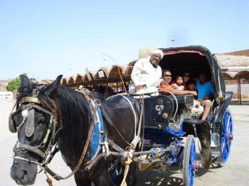 Luxor City Tour by Horse Carriage Visit Local - Key Points