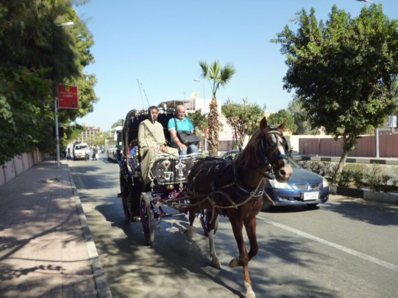 Luxor City Tour by Horse Carriage Visit Local - The Optional Sound & Light Show