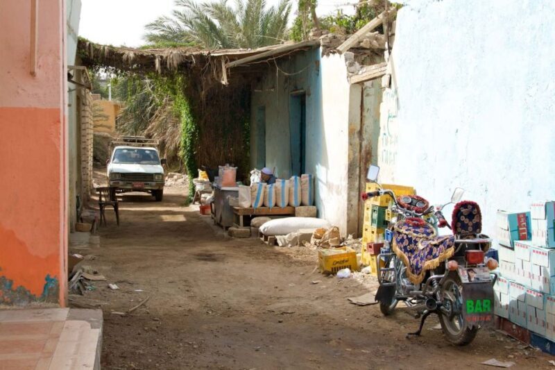 Luxor City Tour by Horse Carriage Visit Local - Who Will Love This Tour?