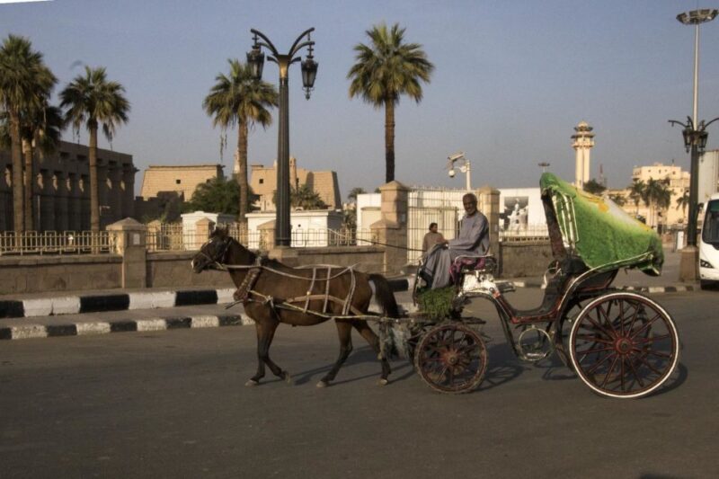 Luxor City Tour by Horse Carriage Visit Local - The Sum Up