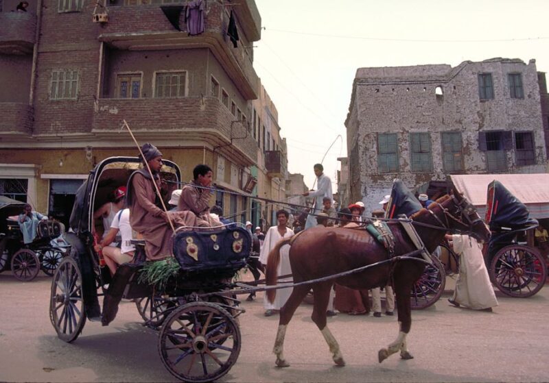 Luxor City Tour by Horse Carriage Visit Local - FAQ