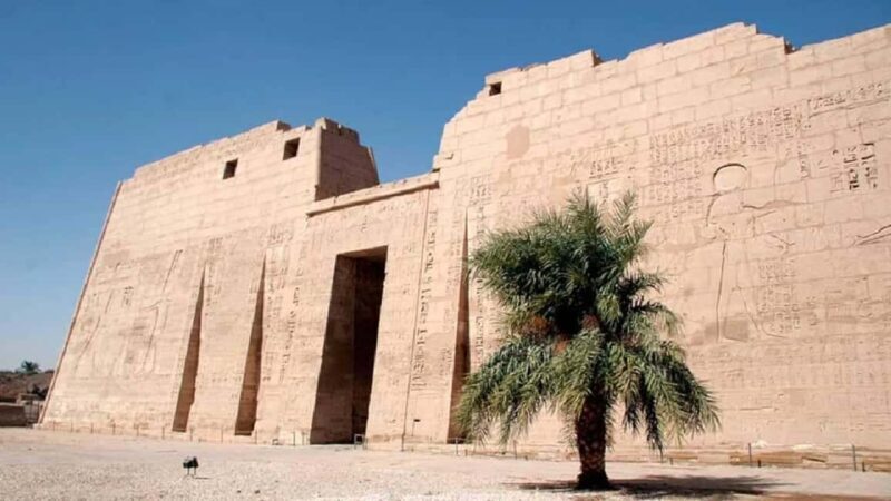 Luxor: Dendera and Medinet Habu Private Guided Day Tour - Who Is This Tour Best For?