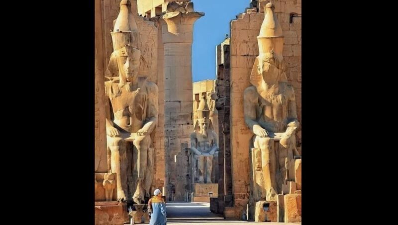 Luxor: East and West Banks Private Tour with Guide and Lunch - Who Should Consider This Tour?