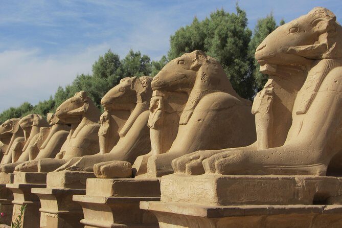 Luxor East Bank Private Tour: Karnak Temple - Luxor Temple - Who Should Consider This Tour?
