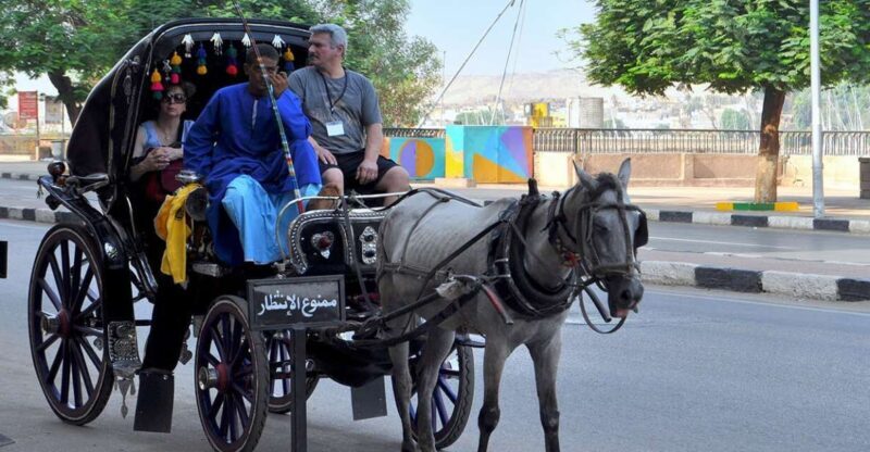 Luxor : Luxor City Tour By Horse Carriage Private Tour - An Overview of the Experience