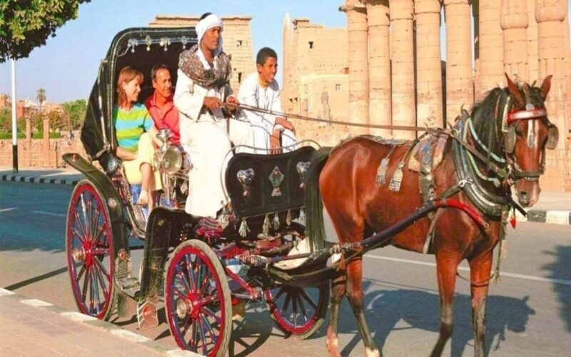 Luxor : Luxor City Tour By Horse Carriage Private Tour - What Youll See and Feel