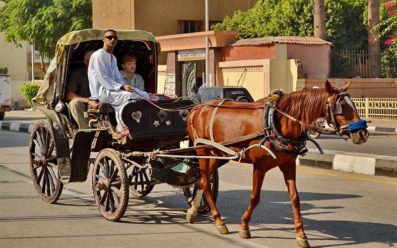Luxor : Luxor City Tour By Horse Carriage Private Tour - The Sum Up