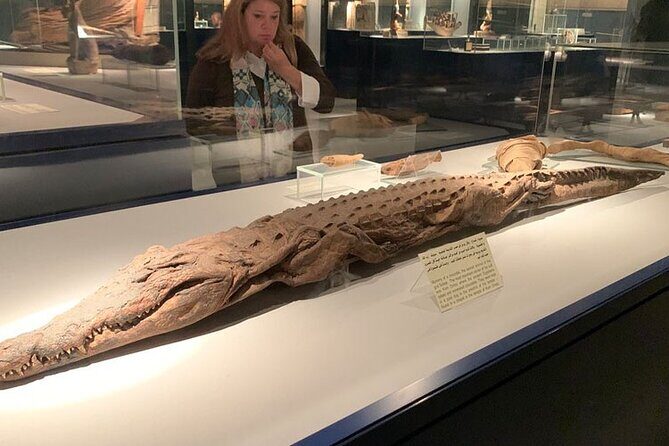 Luxor Museum & Mummification Museum - Authentic Experiences and Practical Tips