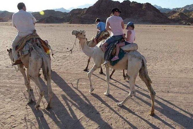 Luxor private City Tour With Camel Ride and Felucca - The Sum Up: Who Will Love This Tour?