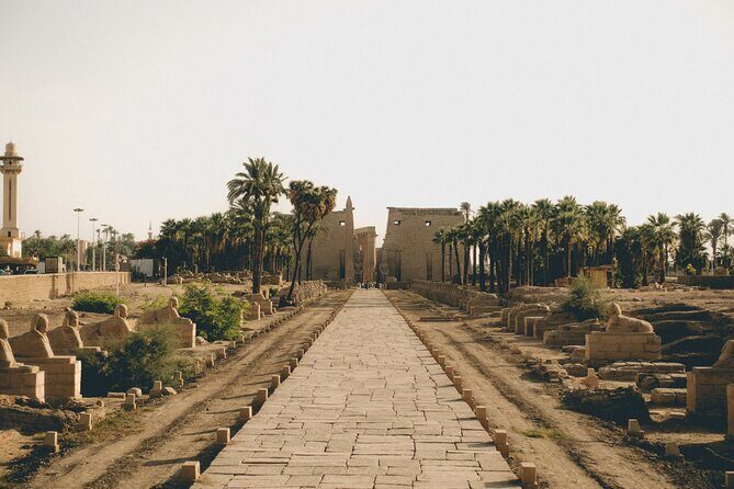 Luxor Private day tour from Makadi with Private Tour guide - Luxor Temple and Optional Shopping