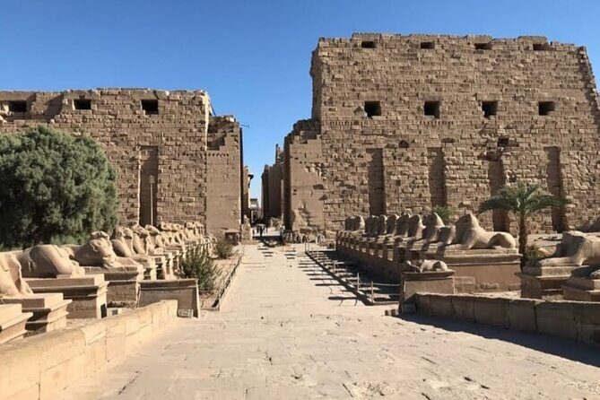 Luxor private excursion from Hurghada Makadi Bay Soma Bay Sahl Hasheesh Elgouna - Final Thoughts: Is This Tour For You?
