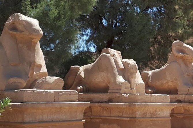 Luxor private guided full day tour to the east and west bank - What Makes This Tour Stand Out?