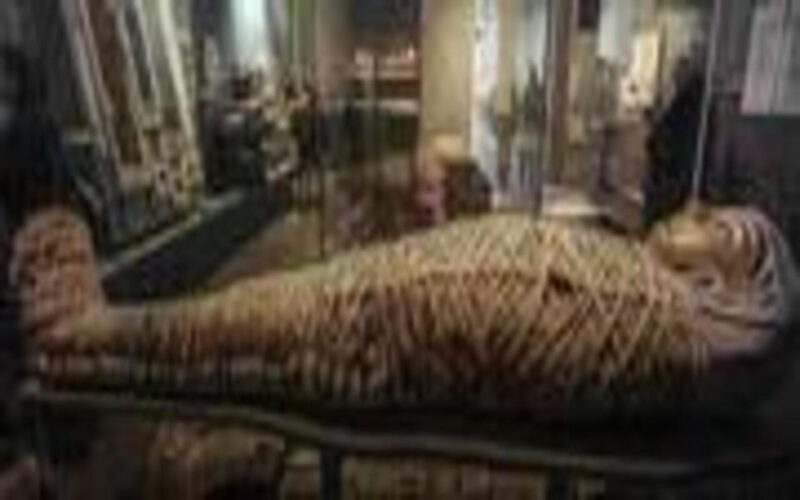 Luxor Private Tour: Luxor Museum & Mummification Museum. - An In-Depth Look at the Tour