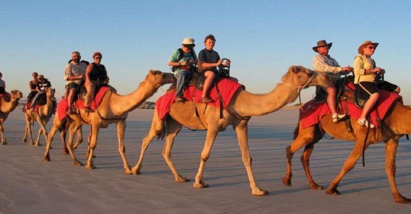 Luxor: Scenic Camel or Horse Ride - Luxor: Scenic Camel or Horse Ride – A Practical and Authentic Escape