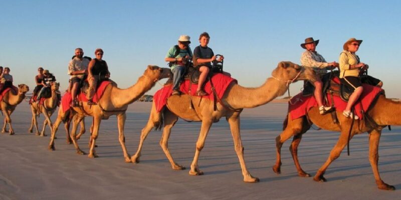 Luxor: Scenic Camel or Horse Ride - Analyzing the Value and Authenticity
