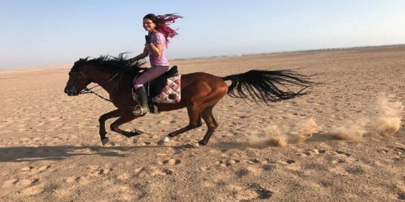 Luxor: Scenic Camel or Horse Ride - Authenticity and Real-Life Feedback