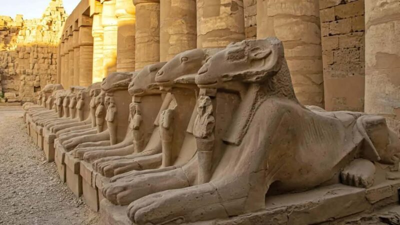Luxor Temples & Royal Tombs Day Tour from Safaga Port - Key Points