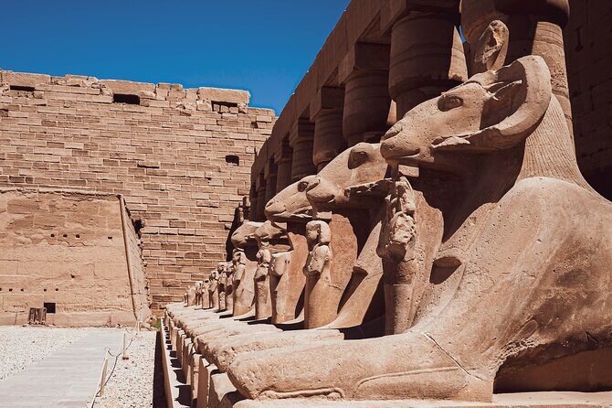 Luxor Valley of the Kings Full-Day Trip from Marsa Alam - Exploring the Itinerary: What You Can Expect