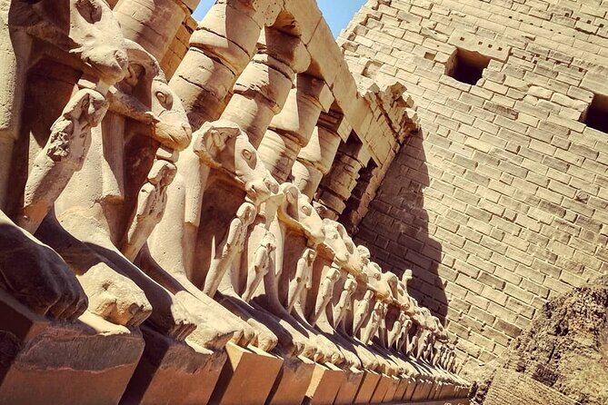 Luxor Valley of the Kings Full-Day Trip from Marsa Alam - A Relaxing Nile Felucca Ride