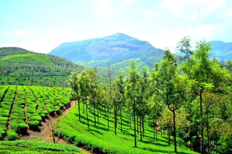 Luxurious, Overnight Alleppey Houseboat Tour (02 Days) - Key Points