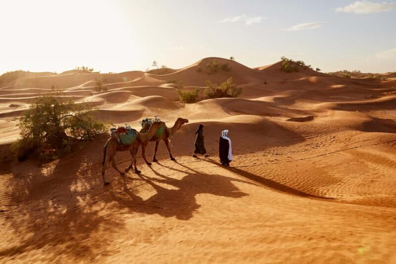 Luxury 3-Day desert trip from Fez to Marrakesh - FAQs