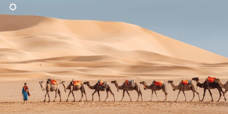 Luxury 3-Day desert trip from Marrakesh to Fez - Day Two: From Ouarzazate to the Sahara