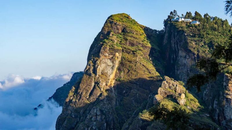 LUXURY: 4-DAY MANGAMBA RAIN FOREST AND USAMBARA MOUNTAIN - Introduction