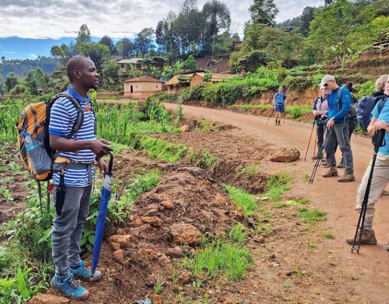LUXURY: 4-DAY MANGAMBA RAIN FOREST AND USAMBARA MOUNTAIN - Key Points