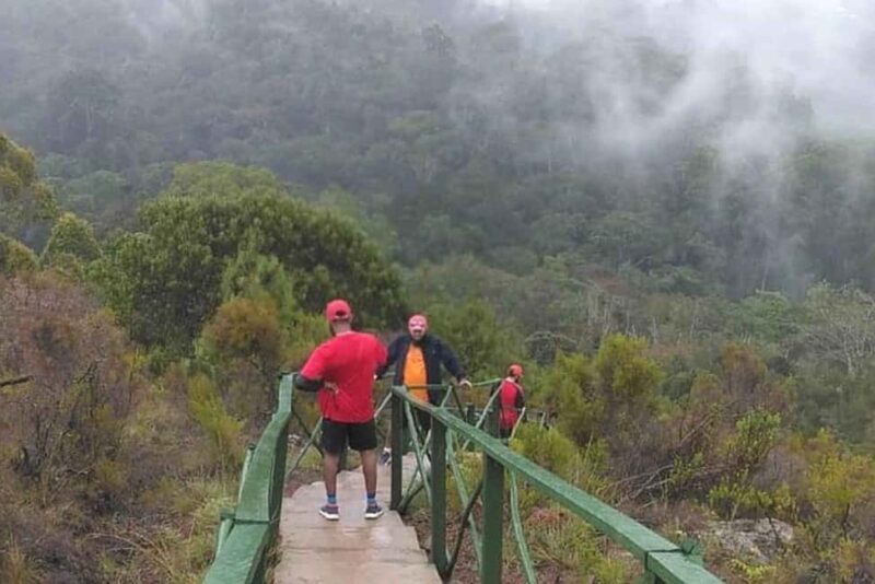 LUXURY: 4-DAY MANGAMBA RAIN FOREST AND USAMBARA MOUNTAIN - What’s Included and What’s Not