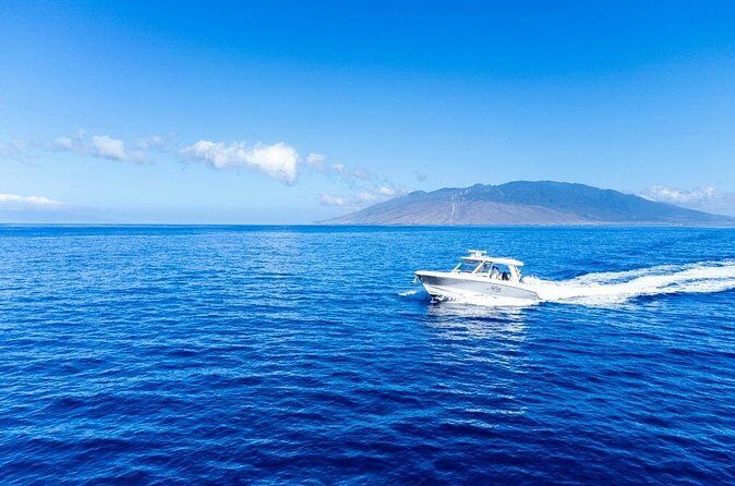 Luxury 6 passenger Boston Whaler Private Charter - The Experience Provider: Alii Nui Sailing Charters
